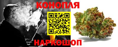 крисы Кунгур