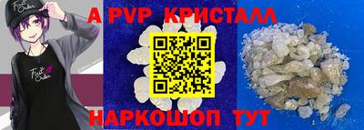 крисы Кунгур