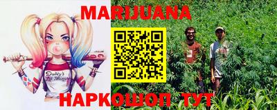 крисы Кунгур