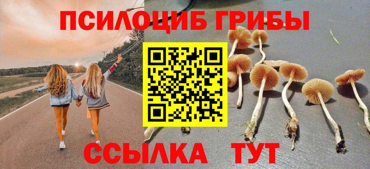 Галлюциногенные грибы мицелий Каменск-Уральский