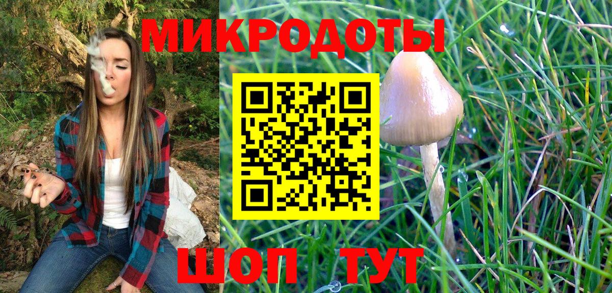 Каменск-Уральский  Галлюциногенные грибы мухоморы  Вход с VPN  Псилоцибиновые грибы прущие грибы 